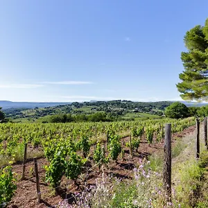  Hébergement de vacances Park Castellet Provence - Dans Les Vignes Aoc Bandol à 15 Min Des Plages Et Du Circuit Paul Ricard F1